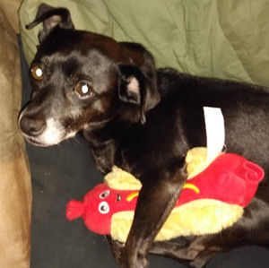 Meet your Posher, Jackson